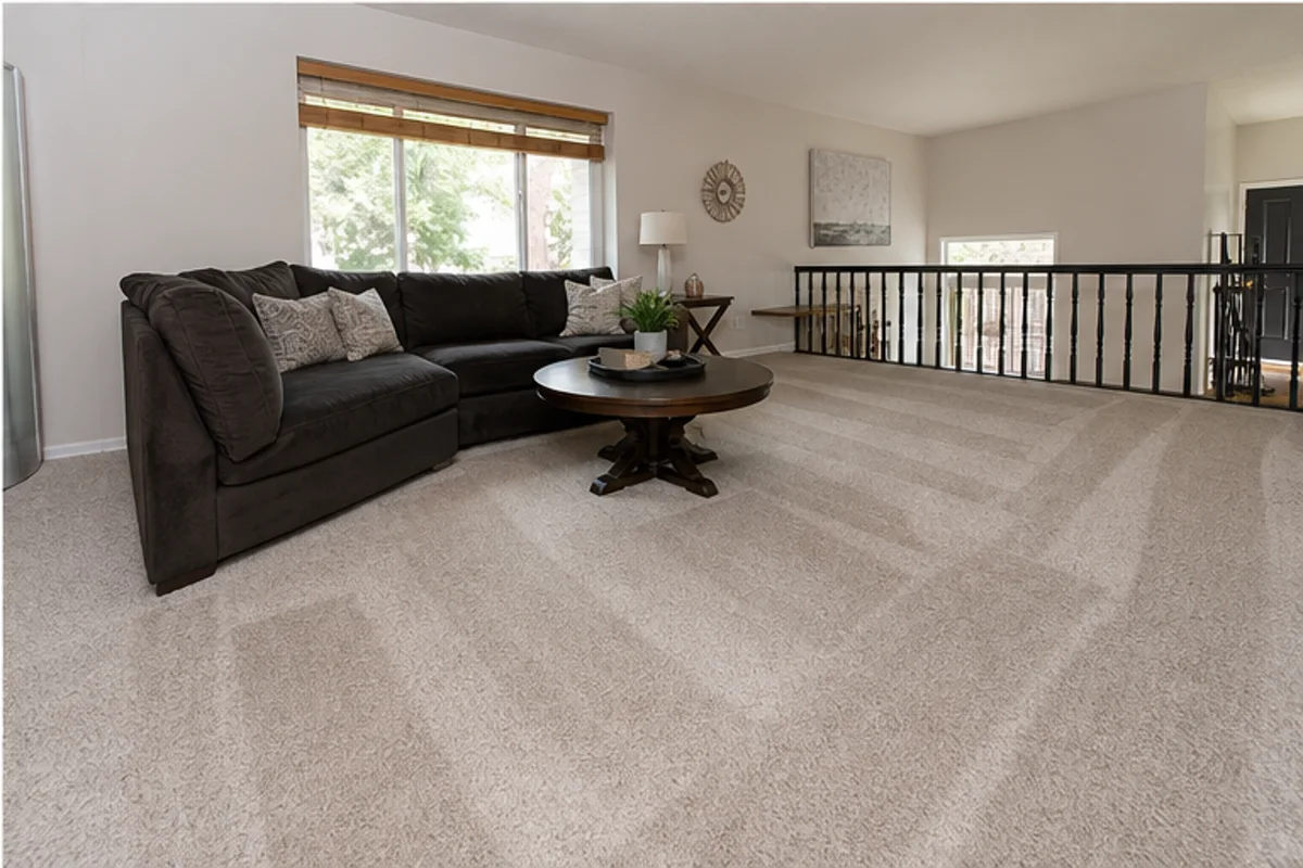 Finished carpet cleaning in highland, indiana area in a Highland home