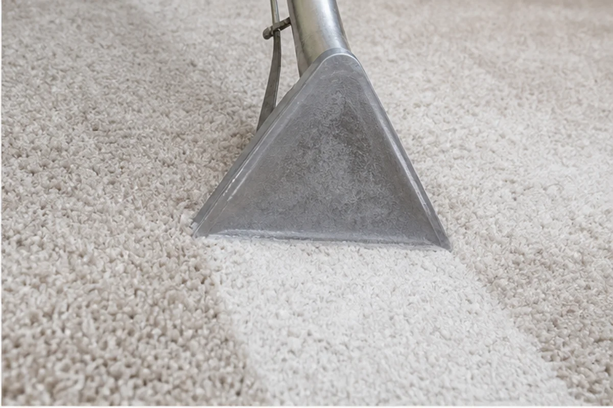 Close professional detail of carpet cleaning assessment in a Highland home